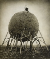 Robert und Shana ParkeHarrison