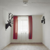 Evi Lemberger
