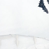 Anna Katharina Scheidegger